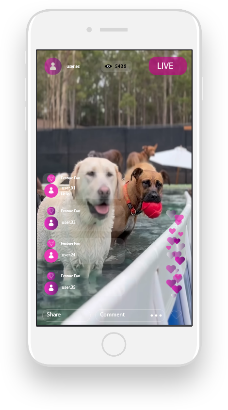 Assista online webcams do seu Pet favorito